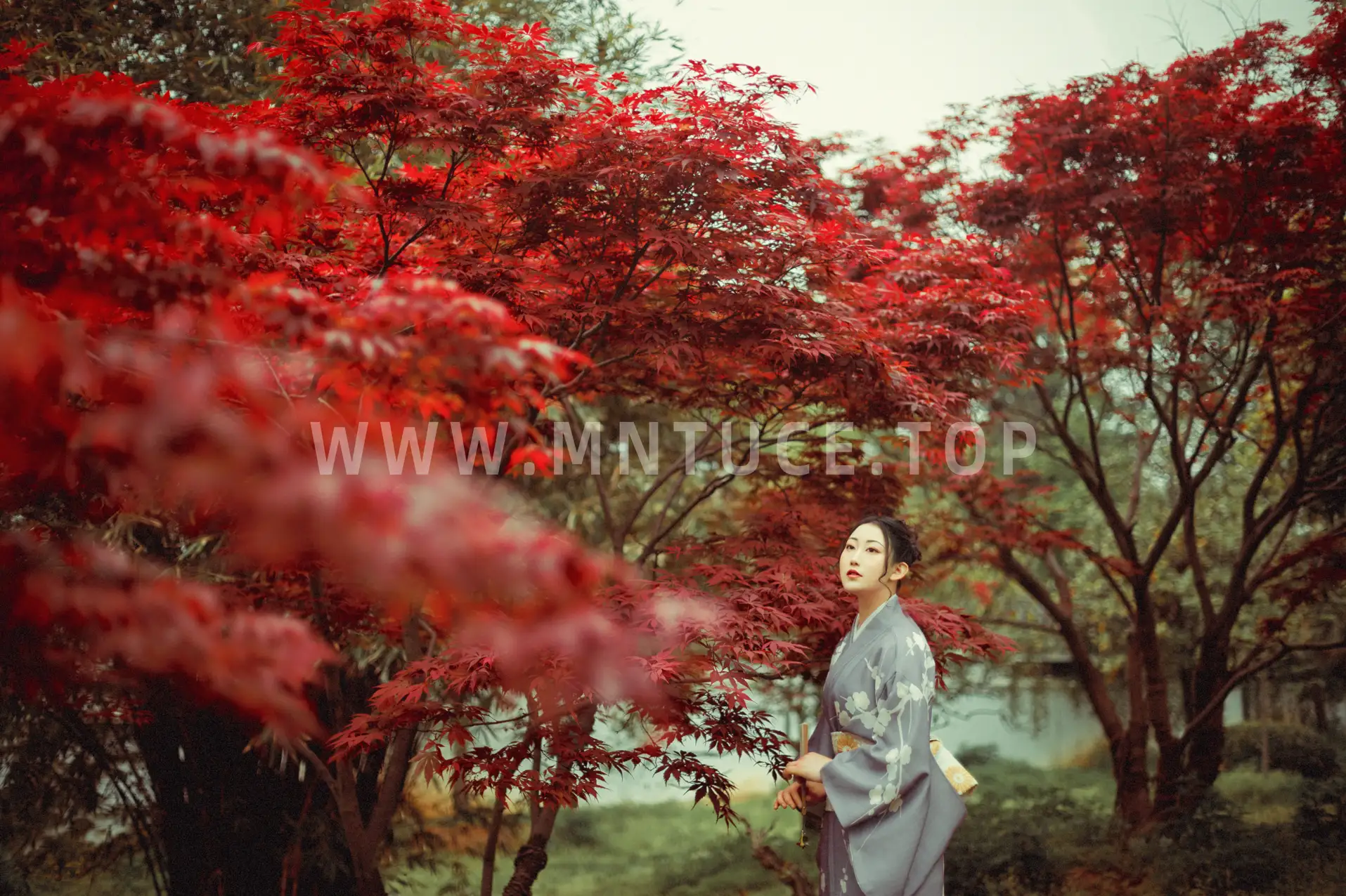 [YITUYU] 2021.09.02 Vol.219 – Deep in the Red Leaves No worries#[29P]-18